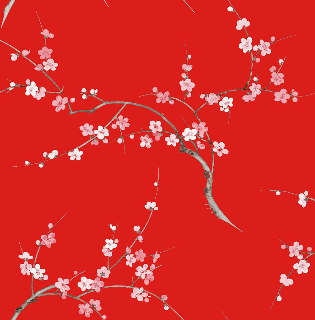 NextWall Scarlet & Petal Pink Cherry Blossom Floral NW38301 wallpaper
