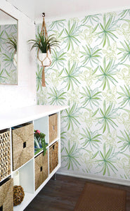 NextWall Spider Plants NW36300 wallpaper