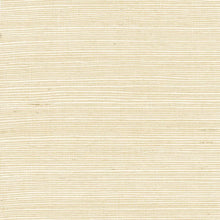 Load image into Gallery viewer, Wallquest/Lillian August Sugar Cookie Sisal Grasscloth LN11800 wallpaper