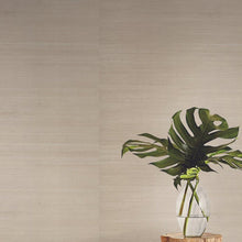 Load image into Gallery viewer, York Wallcoverings Taupe/Silver Plain Sisal Wallpaper GC0700 wallpaper
