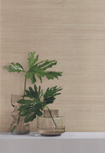 Load image into Gallery viewer, York Wallcoverings Taupe/Silver Plain Sisal Wallpaper GC0700 wallpaper