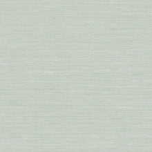 Load image into Gallery viewer, Wallquest/Seabrook Designs Tender Green Coastal Hemp BV30400 wallpaper
