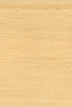 Load image into Gallery viewer, Wallquest/Seabrook Designs Wheat Jute NA202 wallpaper
