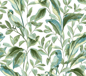 York Wallcoverings White/Aqua Tropical Love Birds Wallpaper TC2651 wallpaper