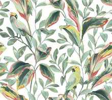 Load image into Gallery viewer, York Wallcoverings White/Coral Tropical Love Birds Wallpaper TC2651 wallpaper