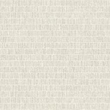 Load image into Gallery viewer, Seabrook Designs White Willow Blue Grass Band TC70000 wallpaper